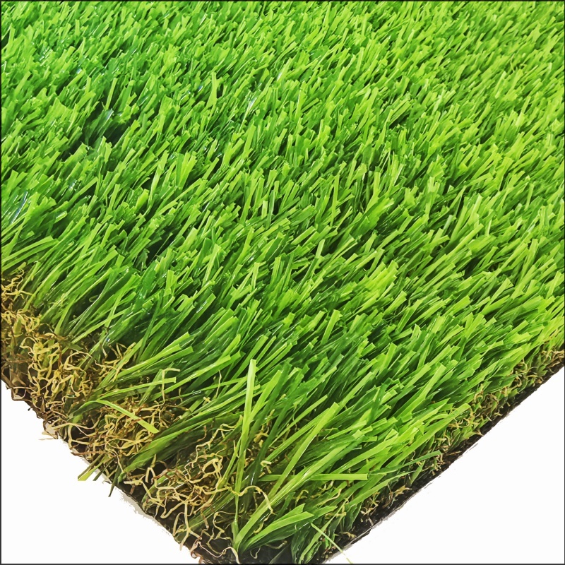 Hierba de jardín (GG45)